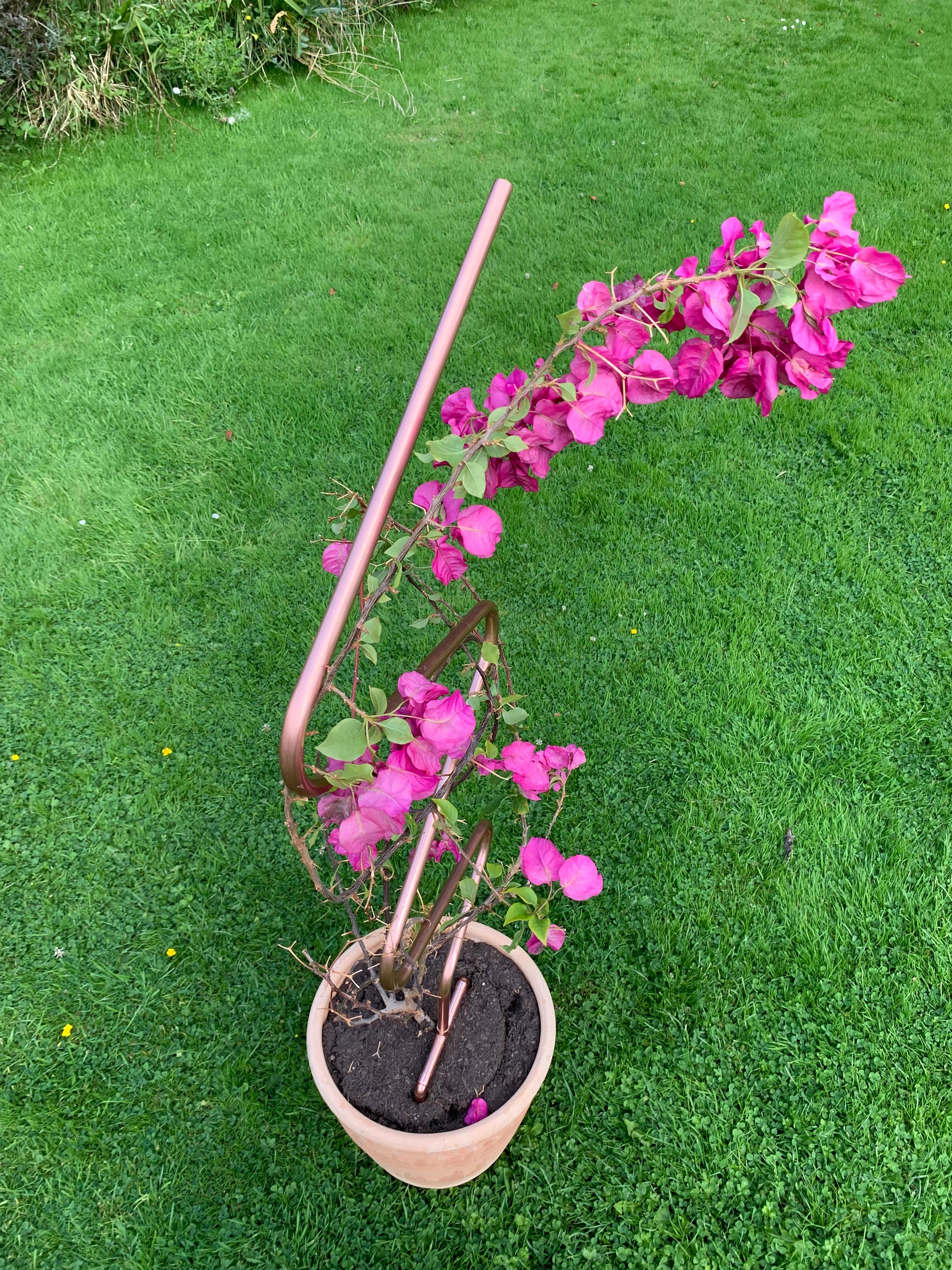 Trellis Plant Pot Trellis Handmade Copper Plant Pot Trellis Etsy