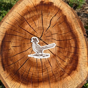 Cowboy Roadrunner Vinyl Sticker: Western Southwestern Decor