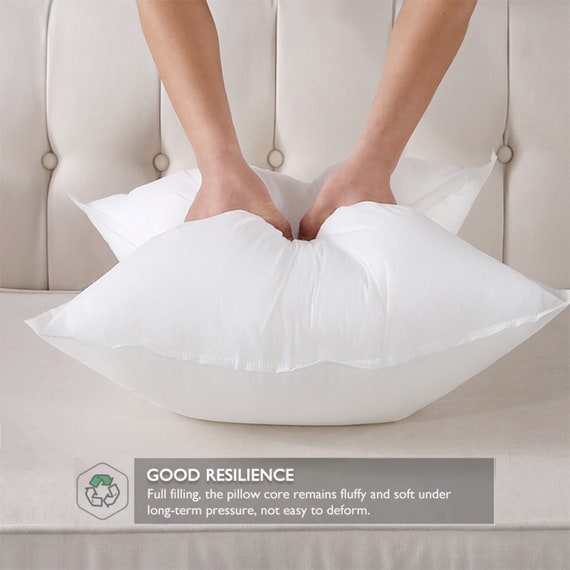 Soft Fluffy Pillow Inserts For Cushion Household Decorative Couch