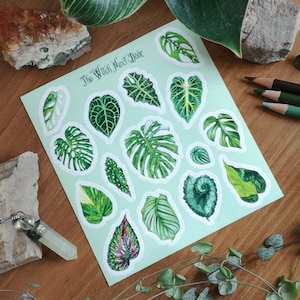 Feuille d'autocollants - Plantes d'intérieur