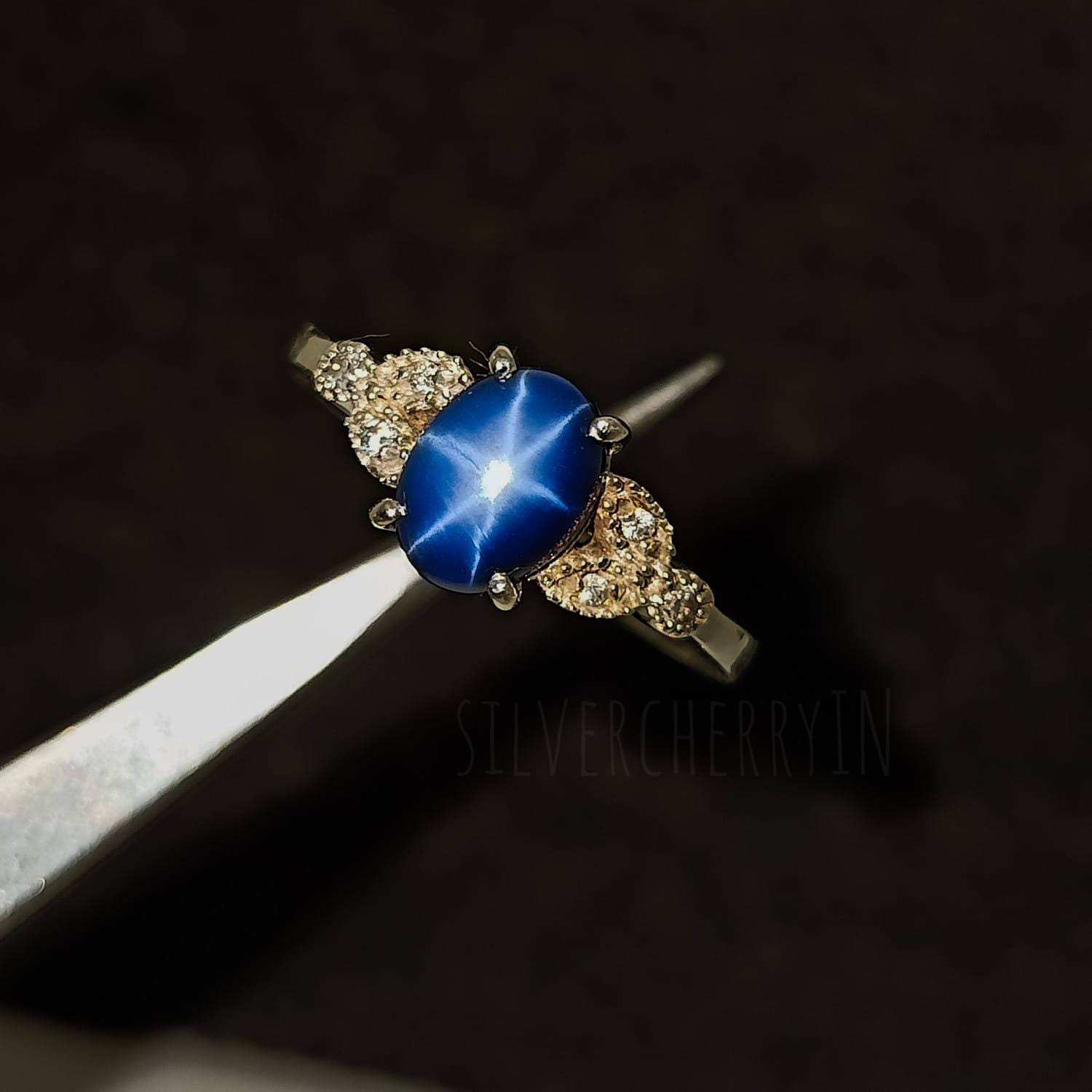 Blue Lindy Star Ringscraigslist Houston Pets For Sale - gdqfnqb