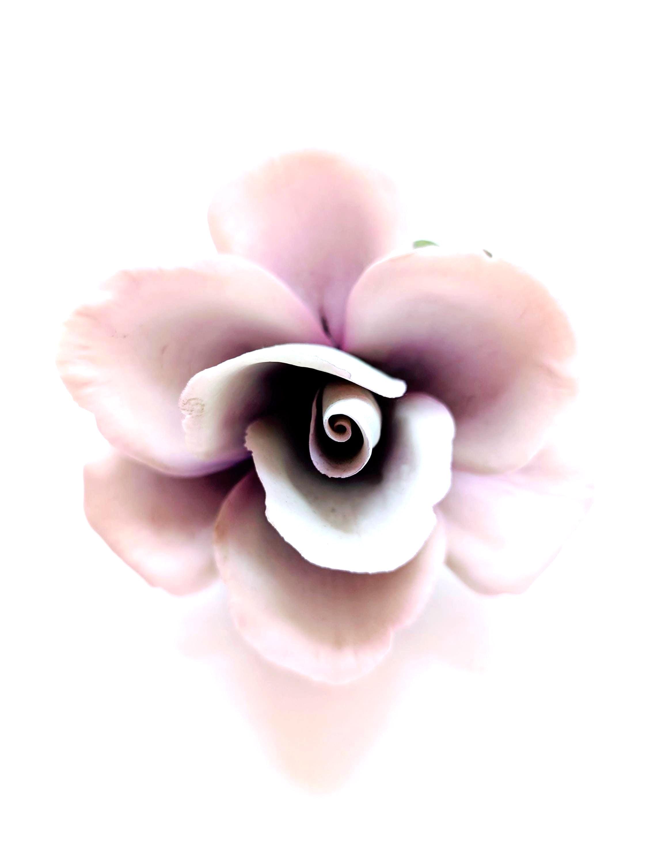 Napoleon Porcelain Roses - Etsy