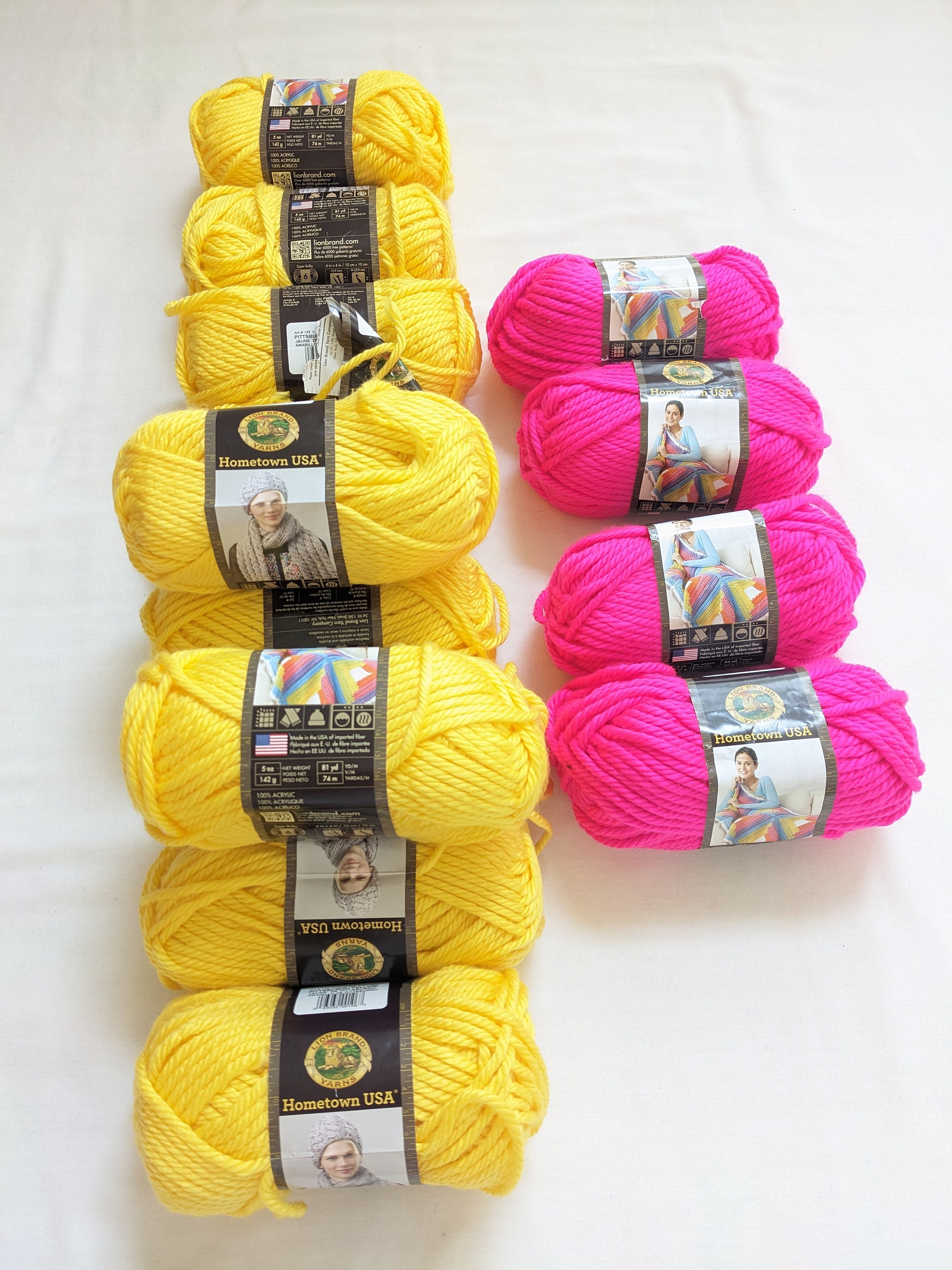 Lion Brand Yarn HOMETOWN #6 Super Bulky Yarn Skein Multiple Colors - You  Pick!!!
