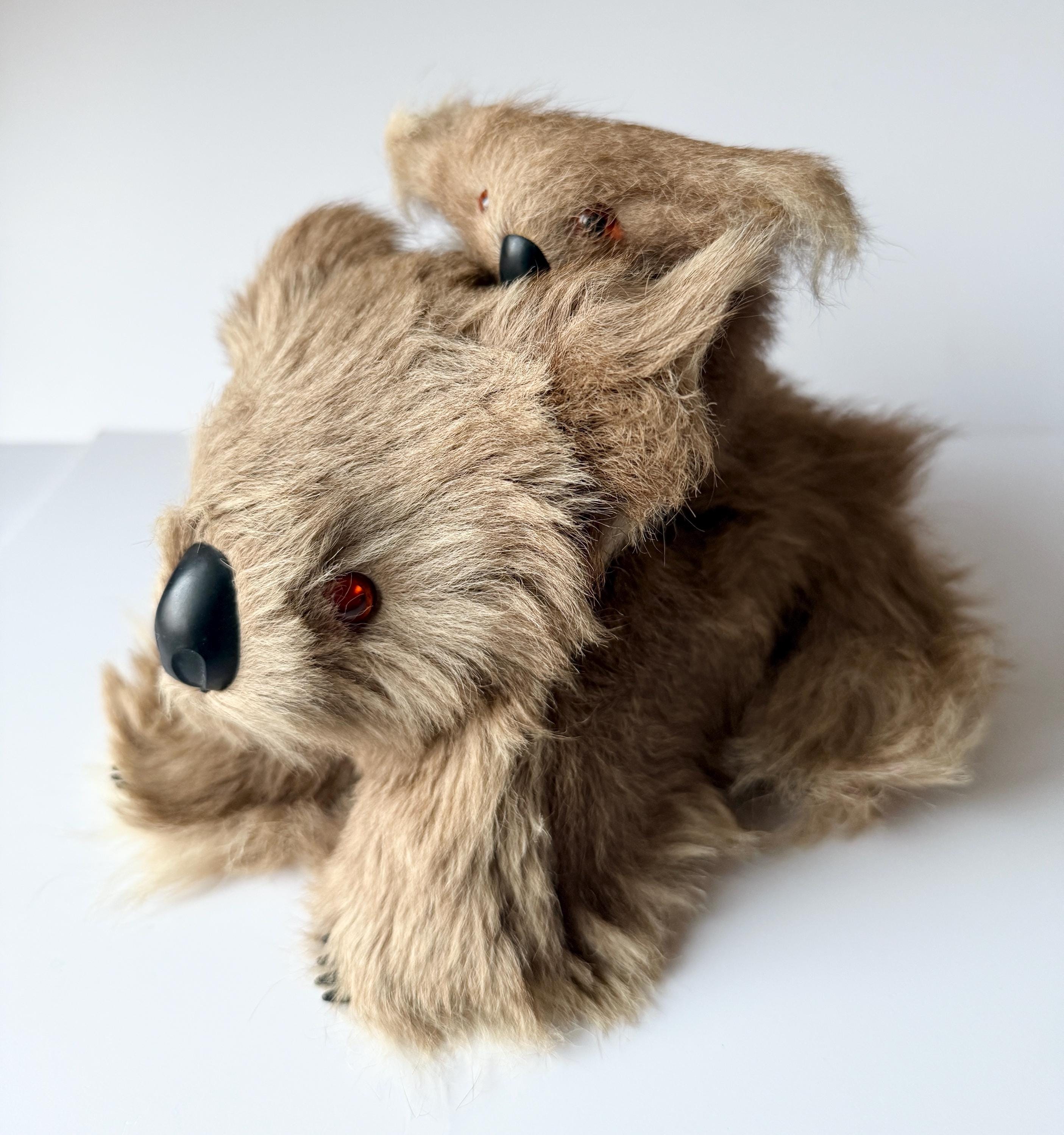 Kangaroo Fur Koala - Etsy UK