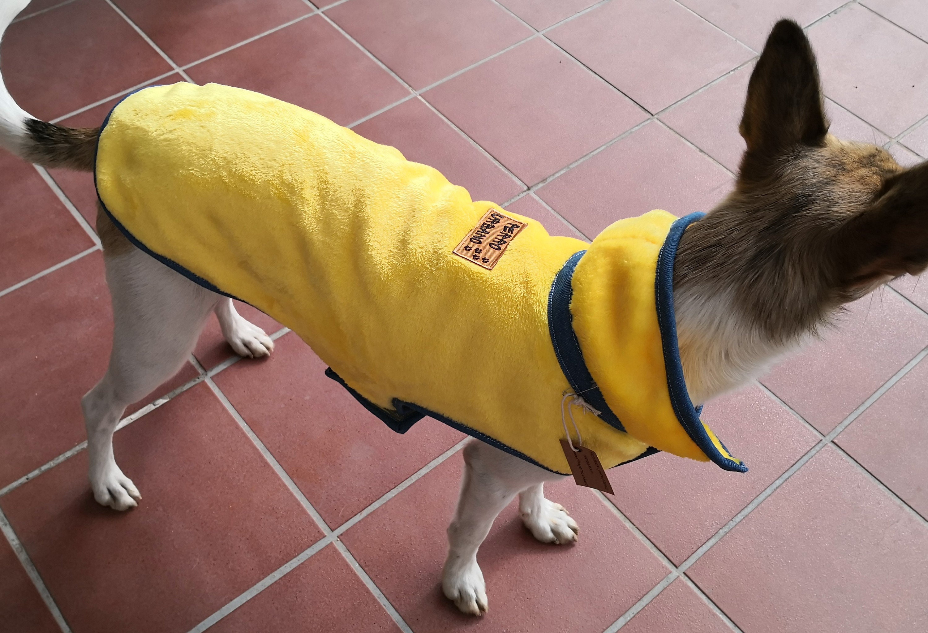kong reversible dog fleece jacket red