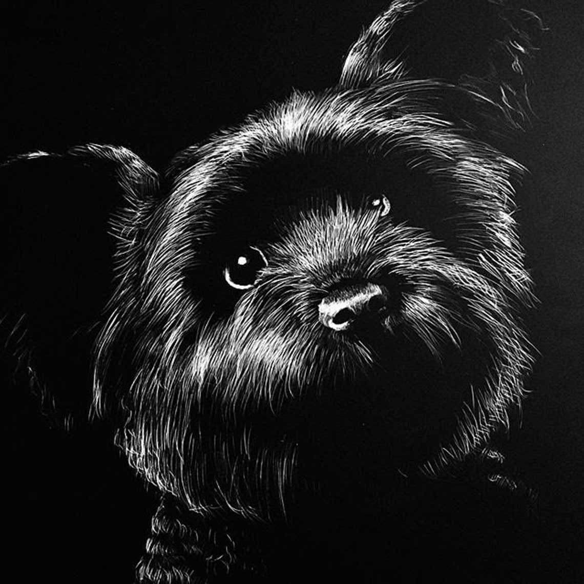 Custom Handmade Scratchboard of Your Pet With Watercolor Etsy
