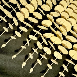 May include: A collection of multiple vertical strands featuring small, pale cream-colored circular discs strung along thin cords. Each strand is finished with a small knot at the bottom, creating a repetitive, linear pattern of light-toned shapes.