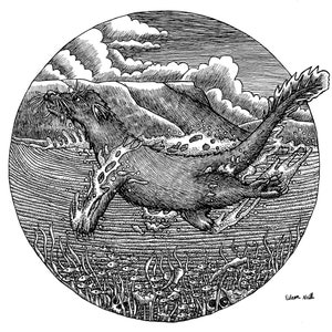 The Dobhar-chú, Pen Illustration, A4 Giclee Print and A5 print