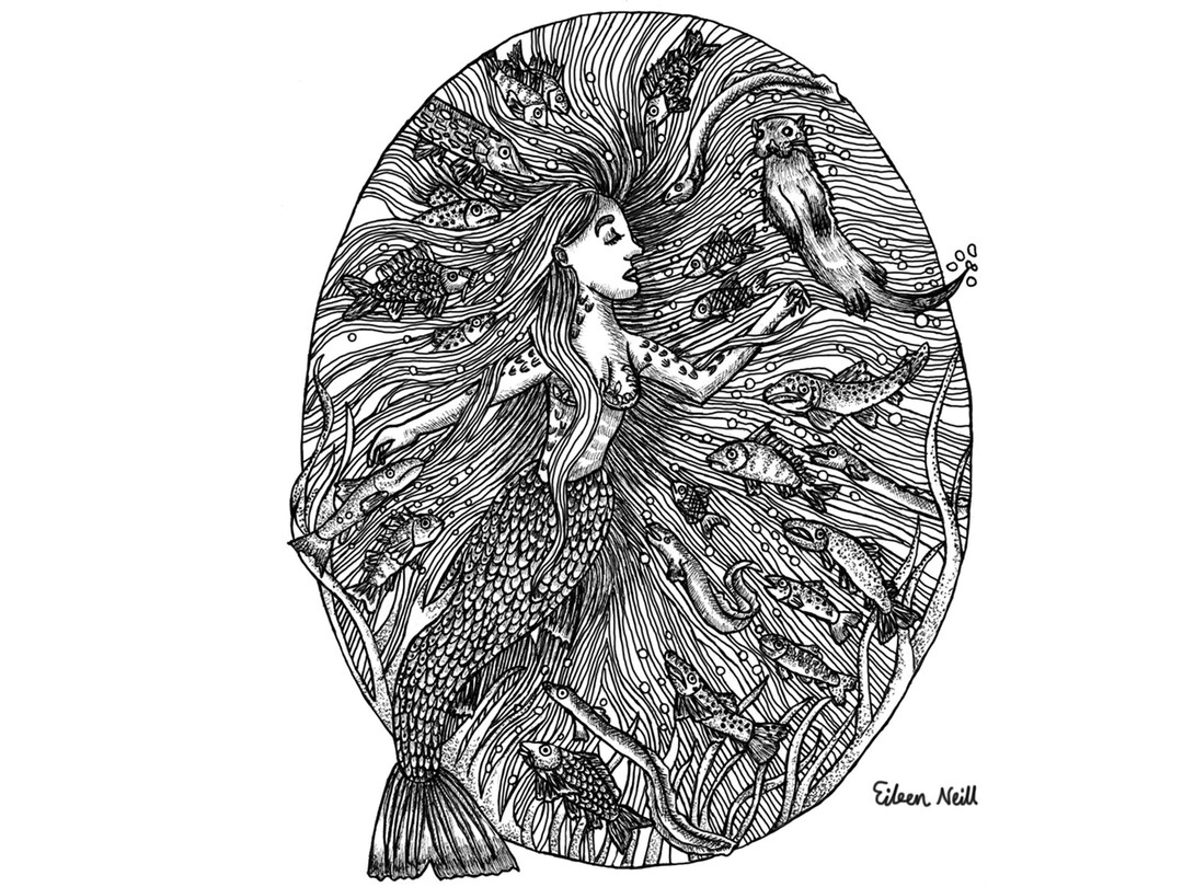 Li Born Vector Li Ban A4 Giclee Print - Etsy