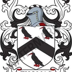 Puede incluir: Escudo de armas en blanco y negro con un casco plateado y tres pájaros negros. El escudo tiene un chevrón negro sobre fondo blanco. El texto "THOMAS" está en un rollo blanco.