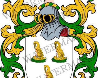 May include: A heraldic coat of arms featuring a white shield with three gold pelicans in their piety, a silver helmet, and a crest showing an arm holding a red quill. The design includes green and gold mantling and the name PATTERSON below.