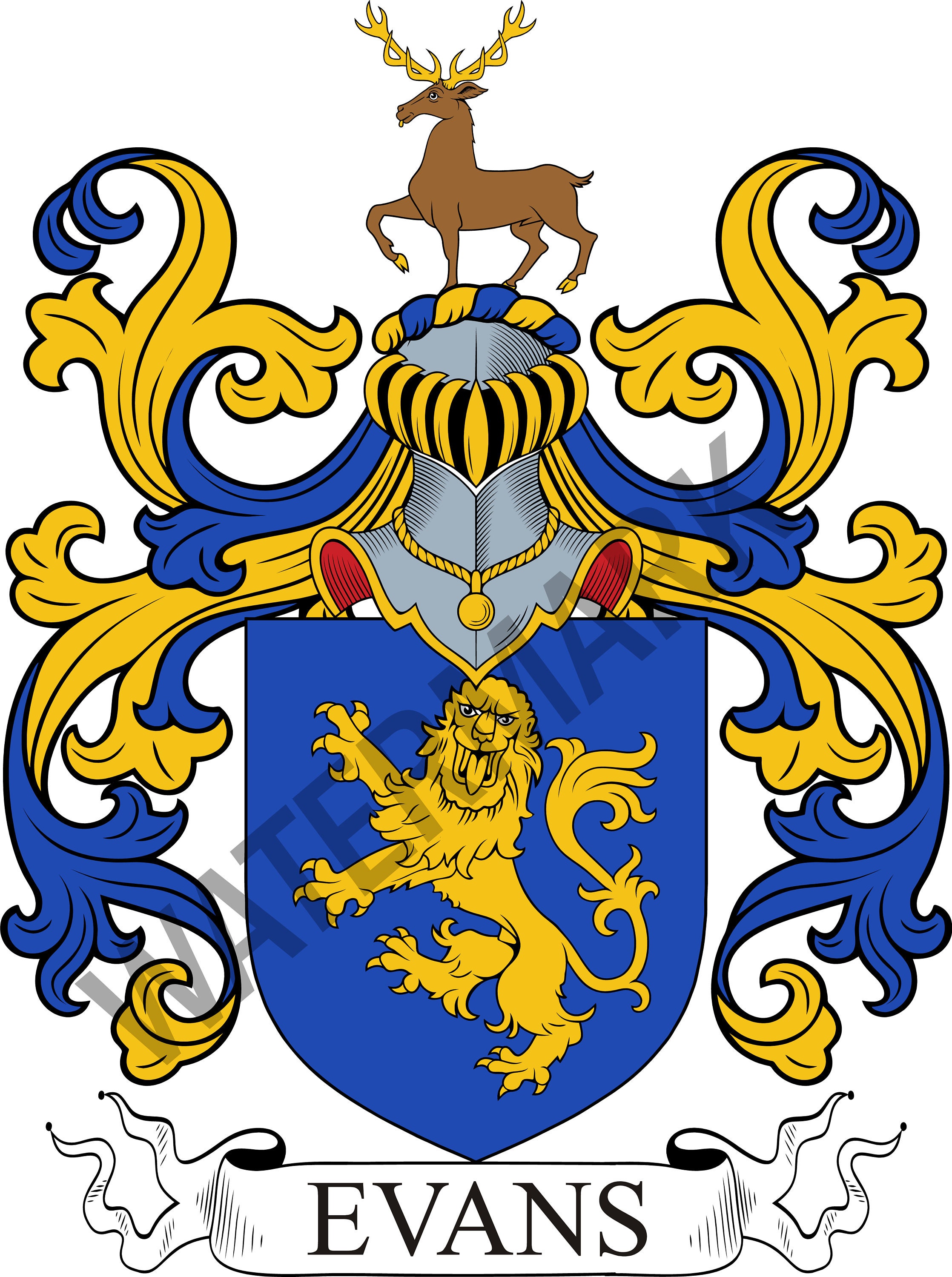Evans Family Crest Digital Download Evans Coat of Arms JPG File
