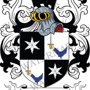 May include: A black and white coat of arms with a silver helmet and a gold crest. The shield is divided into four quarters, with a white star in each of the top quarters and a black star in each of the bottom quarters. The shield is surrounded by a black and white scroll with the word "SCHULTZ" written in black.