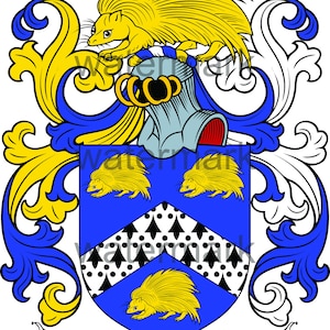 Harris Family Crest - Digitale download - Harris Coat of Arms JPG-bestand - Heraldiek, Genealogie, Afkomst, Achternamen, Schilden