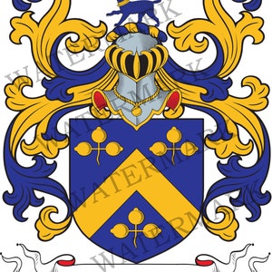 Lynch familjevapen - Digital nedladdning - Lynch vapensköld JPG-fil - Heraldik, släktforskning, härkomst, efternamn, sköldar