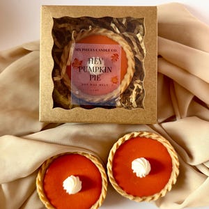 Mini Hey Pumpkin Wax Melts