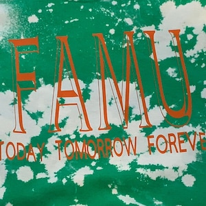 FAMU, FAMU t shirt, FAMU Today Tomorrow Forever.  Tee shirt, Florida tee shirt, black colleges, university t shirt