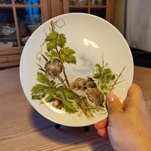 Vintage Keiser Collector's Plate with Birds – Porcelain Decorative Plate, Germany