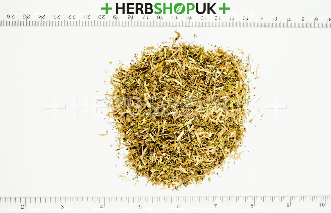 Cleavers Dried Herb Tea galium Aparine Organic Quality Przytulia Ziele