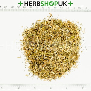 Cleavers Dried Herb Tea galium Aparine Organic Quality Przytulia Ziele ...