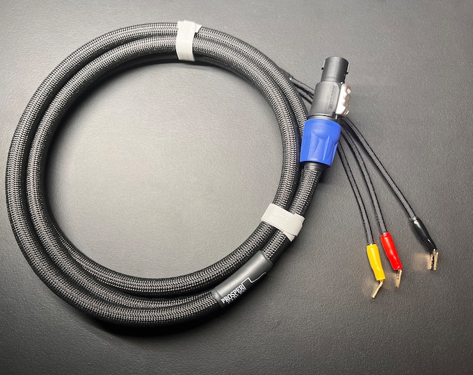 REL 3 wire sub speaker cable, Neutrik Speakon, and Spades