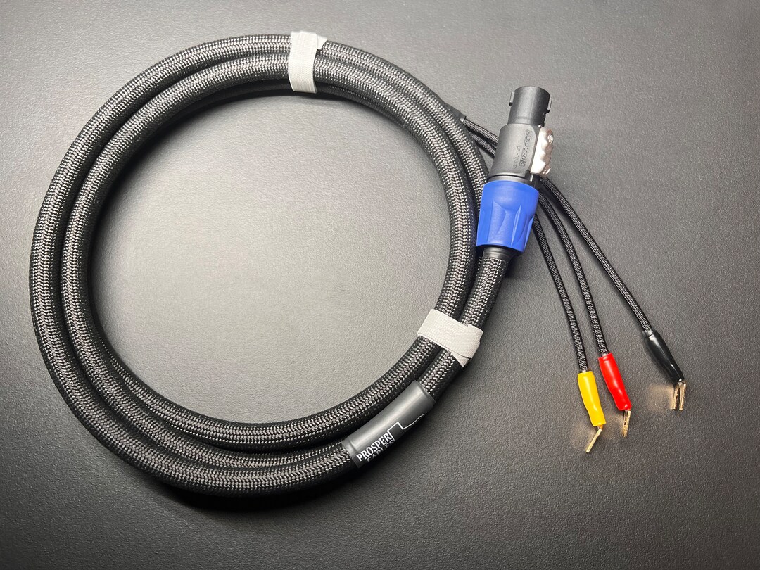 Canare 4s11g Audiophile REL 3 Wire Sub Speaker Cable, Neutrik Speakon ...