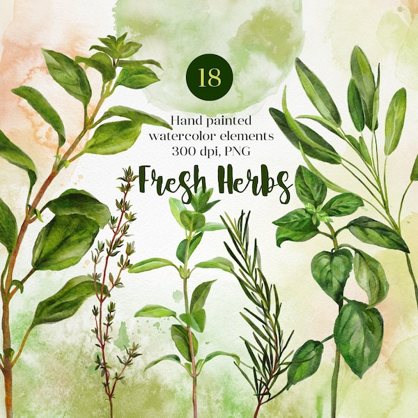 Herbs watercolor Digital clipart PNG bundle, Botanical clipart, Greenery, Fresh Basil, Rosemary, Thyme, Sage, Oregano, Marjoram