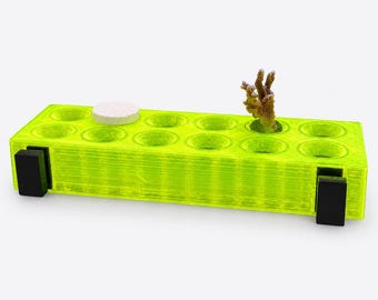 Supporto magnetico a 12 fori per talee (PETG)