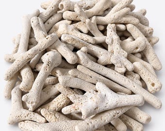 Piccoli pezzi di roccia corallina Tonga Branch, 450 g circa, di circa 7,5-10 cm, ideali per nano reef, acquari per talee e aquascaping.