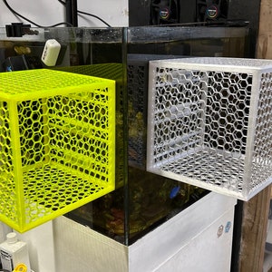 Large fish acclimate box