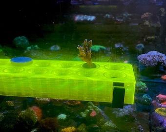 12 Hole magnet frag rack (PETG)