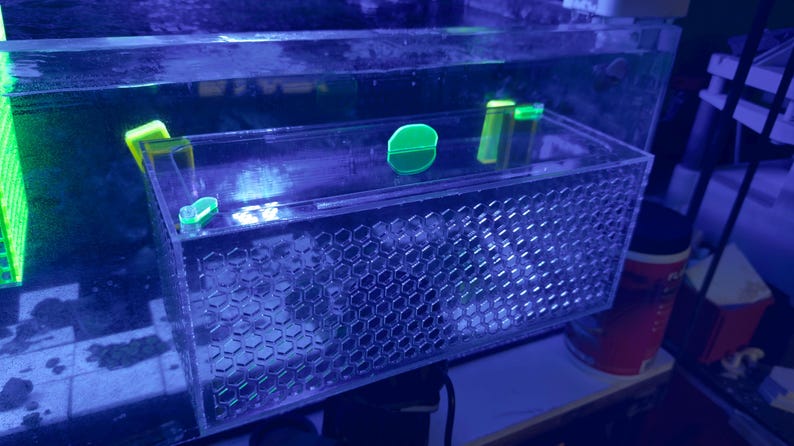 Pu&ograve; includere: Un filtro per acquario rettangolare trasparente con un motivo a nido d'ape sul davanti. All'interno del filtro ci sono diversi piccoli oggetti verde neon e gialli. L'acquario &egrave; pieno d'acqua e illuminato con luce blu.