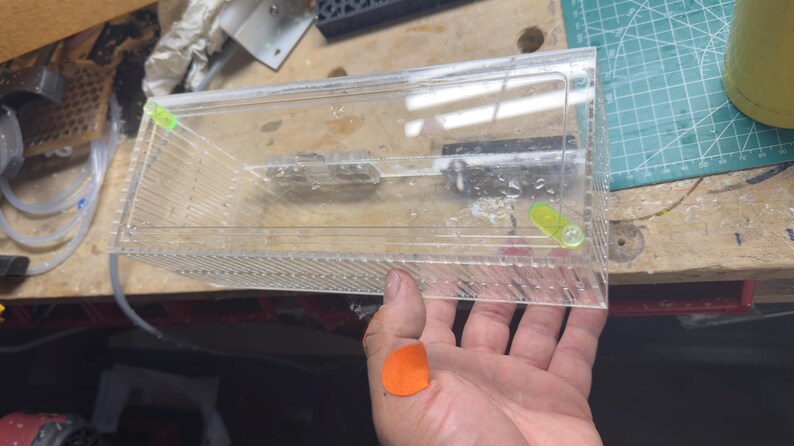 Pu&ograve; includere: Un contenitore di plastica trasparente e rettangolare con coperchio incernierato e piccoli fori sui lati. Il contenitore ha accenti verdi e gialli. Il contenitore &egrave; tenuto in mano da una persona.
