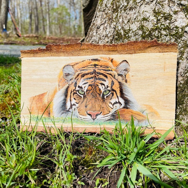 Tiger live edge wood- tiger painting, Tiger woodburning, laying Tiger, big cat lovers, Tiger wood art, shelf decor, spirit animal, wildlife