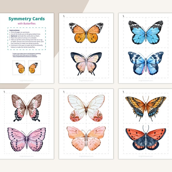 Butterfly Symmetry Puzzle Montessori Spring Insects Cards