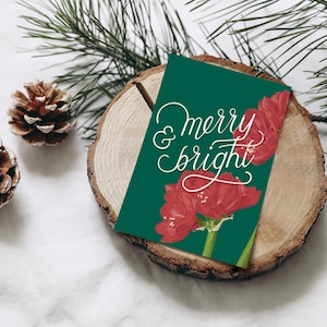 Cartolina extra spessa per Natale, fiore di amaryllis rosso, cartolina di Natale con scritte disegnate a mano