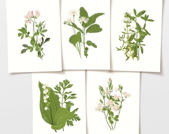 Lot de 5 cartes postales nature, décoration fleurs sauvages, lot de 5 photos, carte d'anniversaire, dessins botaniques dessinés à la main, papier FSC