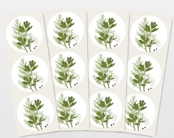 Stickers herbs, set of 12 gift stickers, botanical drawing, little something for a birthday, environmentally friendly paper