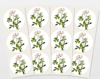 STICKERS Set of 12 gift stickers, pink wild clover with heart, hand-drawn flowers, eco-friendly giving