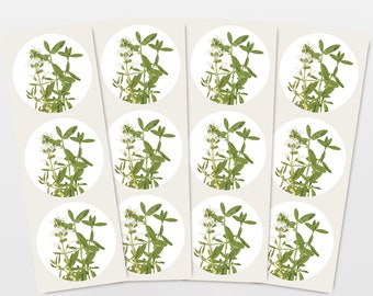 Stickers herbes thym, lot de 12 stickers cadeaux, dessin botanique, petit quelque chose pour un anniversaire, papier écologique