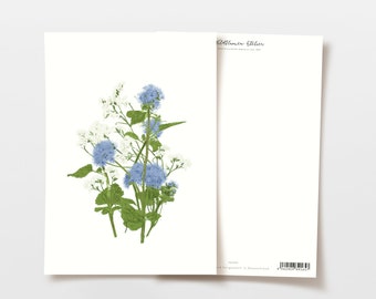 Postkarte Blumen blau weiß, handgezeichnete botanische Zeichnung, Geburtstag Karte, Hochzeit Karte, Danke Karte, Grußkarte, FSC Papier
