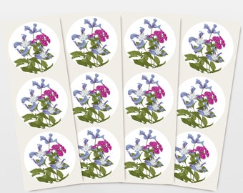 Aufkleber Blumen Clematis & Phlox, 12er Set Geschenk Aufkleber, botanische Zeichnung, Kleinigkeit zum Geburtstag, umweltfreundliches Papier