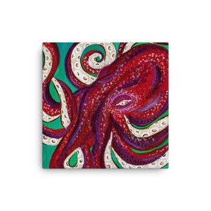 Oktopus des Himmels