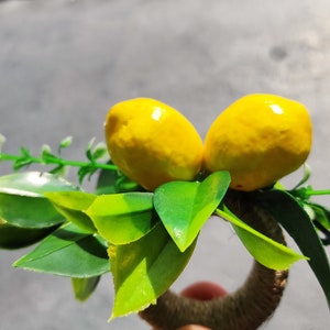 May include: A lemon-themed napkin ring with two yellow lemons and green leaves. The ring is made of brown twine.