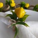 see more listings in the NAPKIN RINGS section