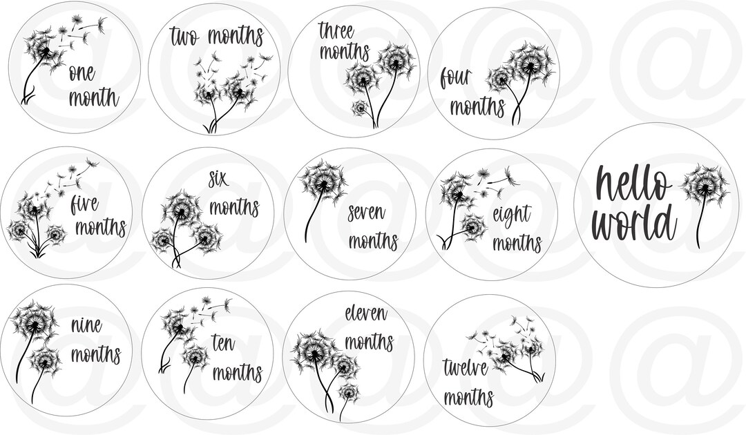 Milestone Discs - Laser Cut File - Instant Download, Digital Download ...