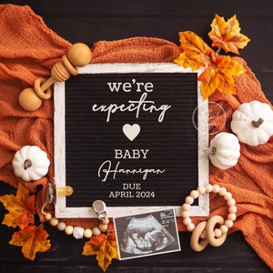 Fall Pregnancy Announcement Digital, Gender Neutral, Thanksgiving Editable Baby Announcement, Baby Board Reveal, Pumpkin, Instagram Facebook