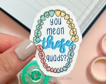 dental stickers for laptop, dental anatomy stickers, teeth stickers for water bottle, STEM stickers funny, dentistry student gift, rda gifts