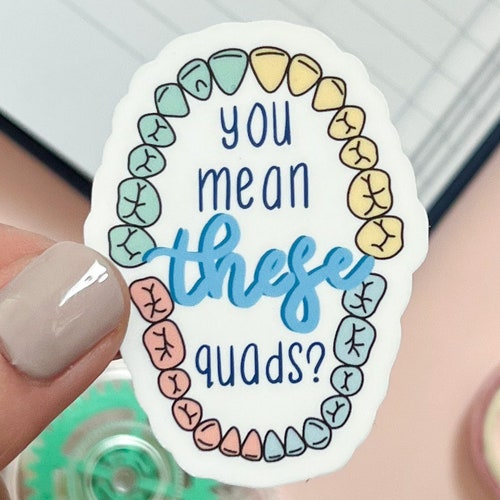 Dental Anatomy Stickers Dental Stickers for Laptop Teeth Etsy