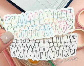 dental anatomy stickers, dental stickers for laptop, teeth stickers for water bottle, dentistry student gift, rda gifts, rdh gifts, STEM